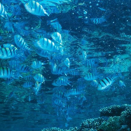イスロテル ヤム スフ ホテル エイラート エクステリア 写真